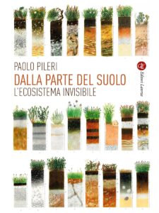 Pileri01