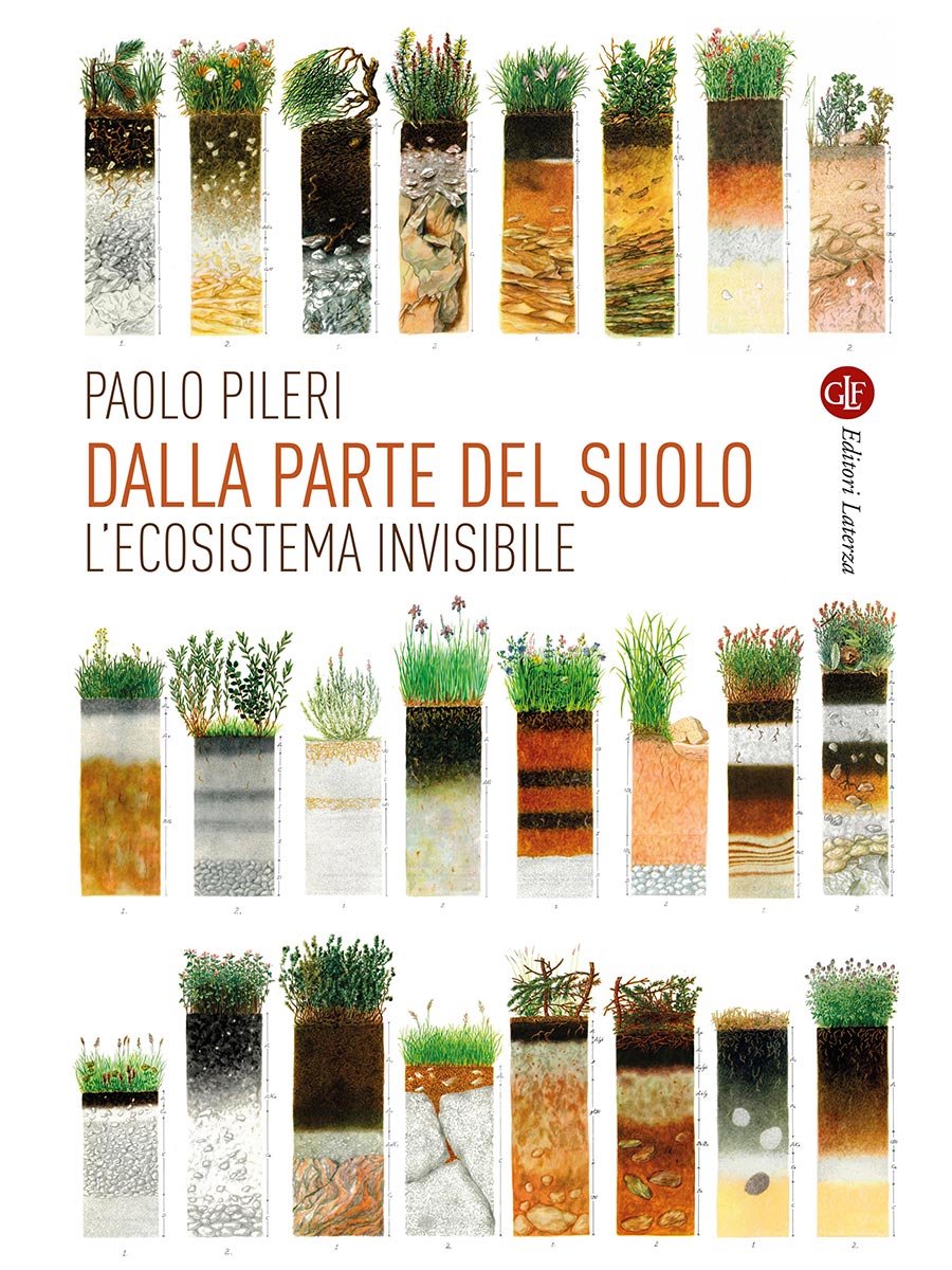 Pileri01