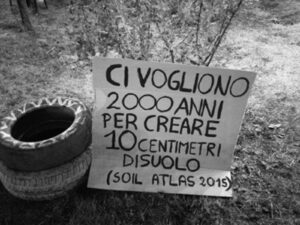 Pileri05