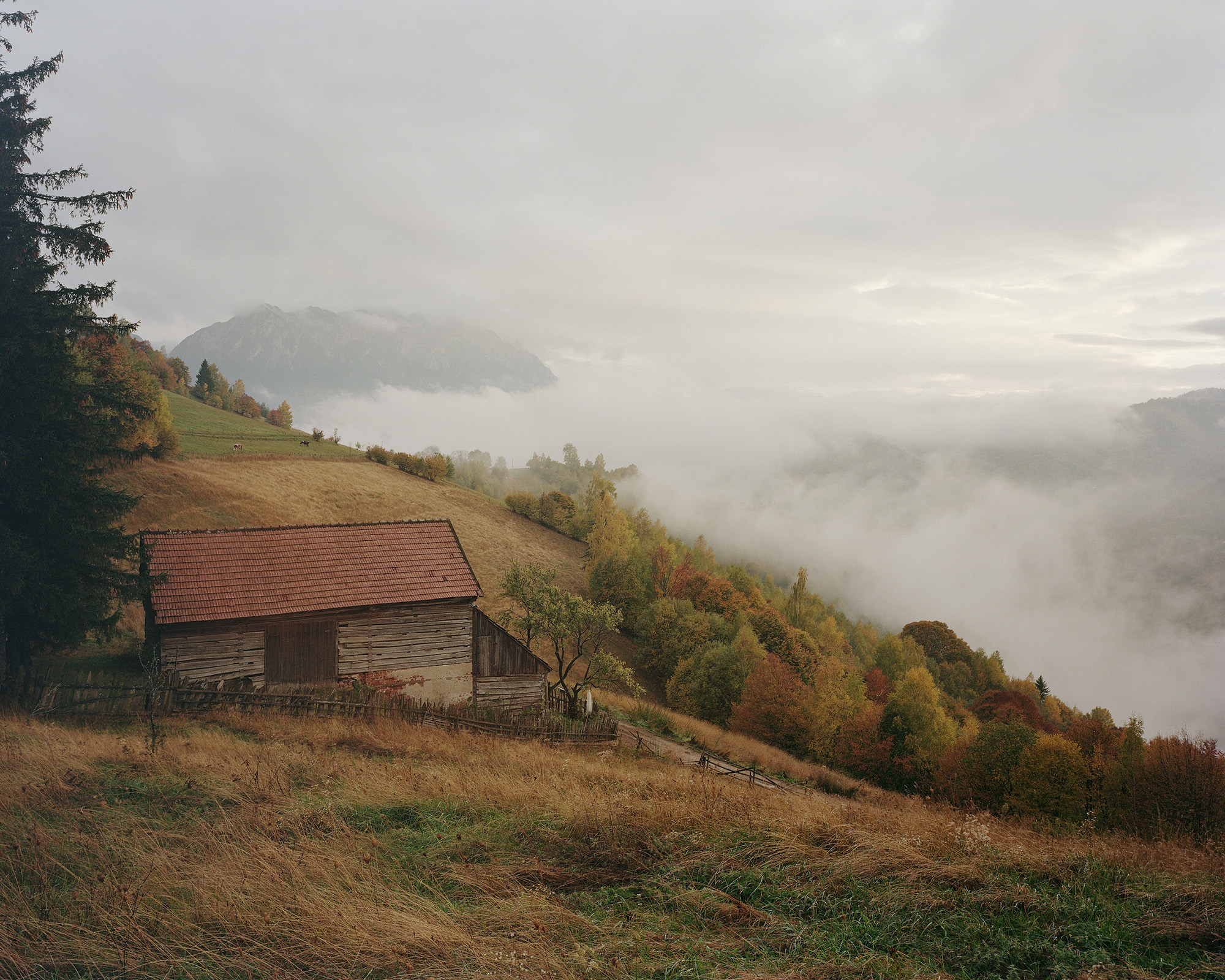 Fienile affacciato sulla valle: la nebbia avvolge i pendii colorati d’autunno, ph. Nicholas J.R. White