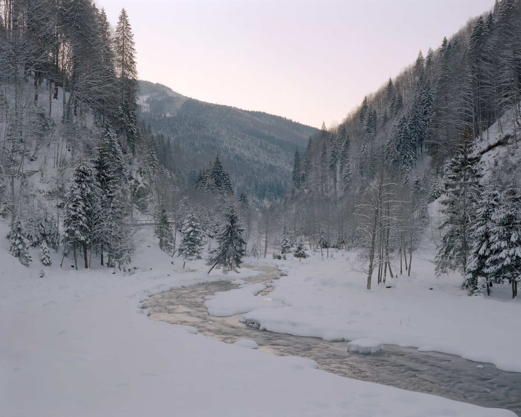 Torrente invernale tra conifere e latifoglie spoglie in una valle dei Carpazi meridionali, ph. Nicholas J.R. White