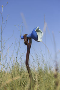 _Emilia_Romagna_BA25-035