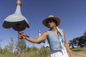 _Emilia_Romagna_BA25-048