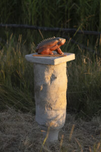 _Emilia_Romagna_BA25-120