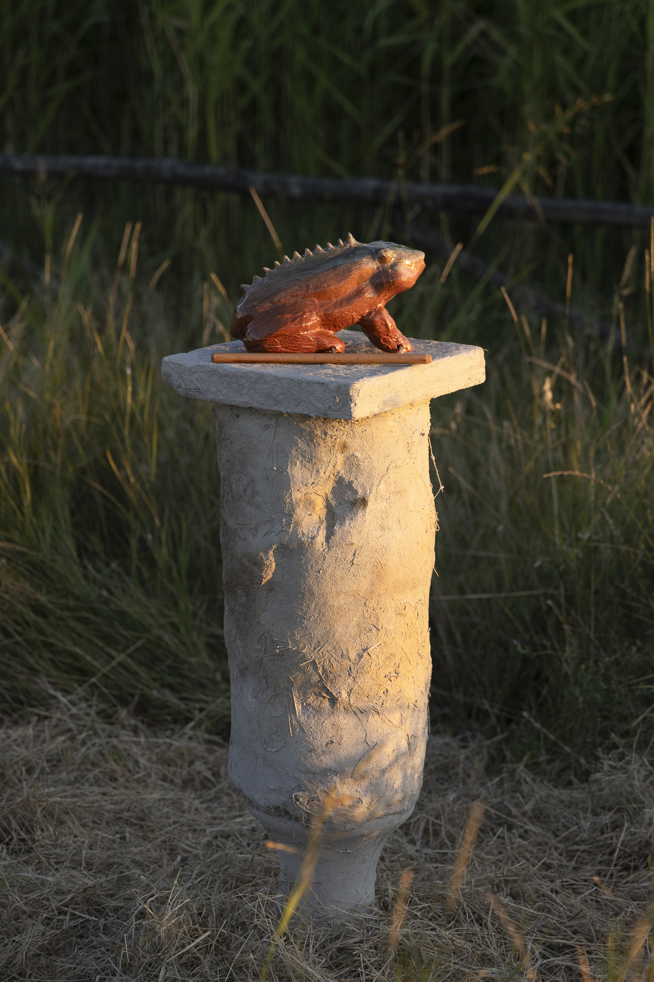 _Emilia_Romagna_BA25-120