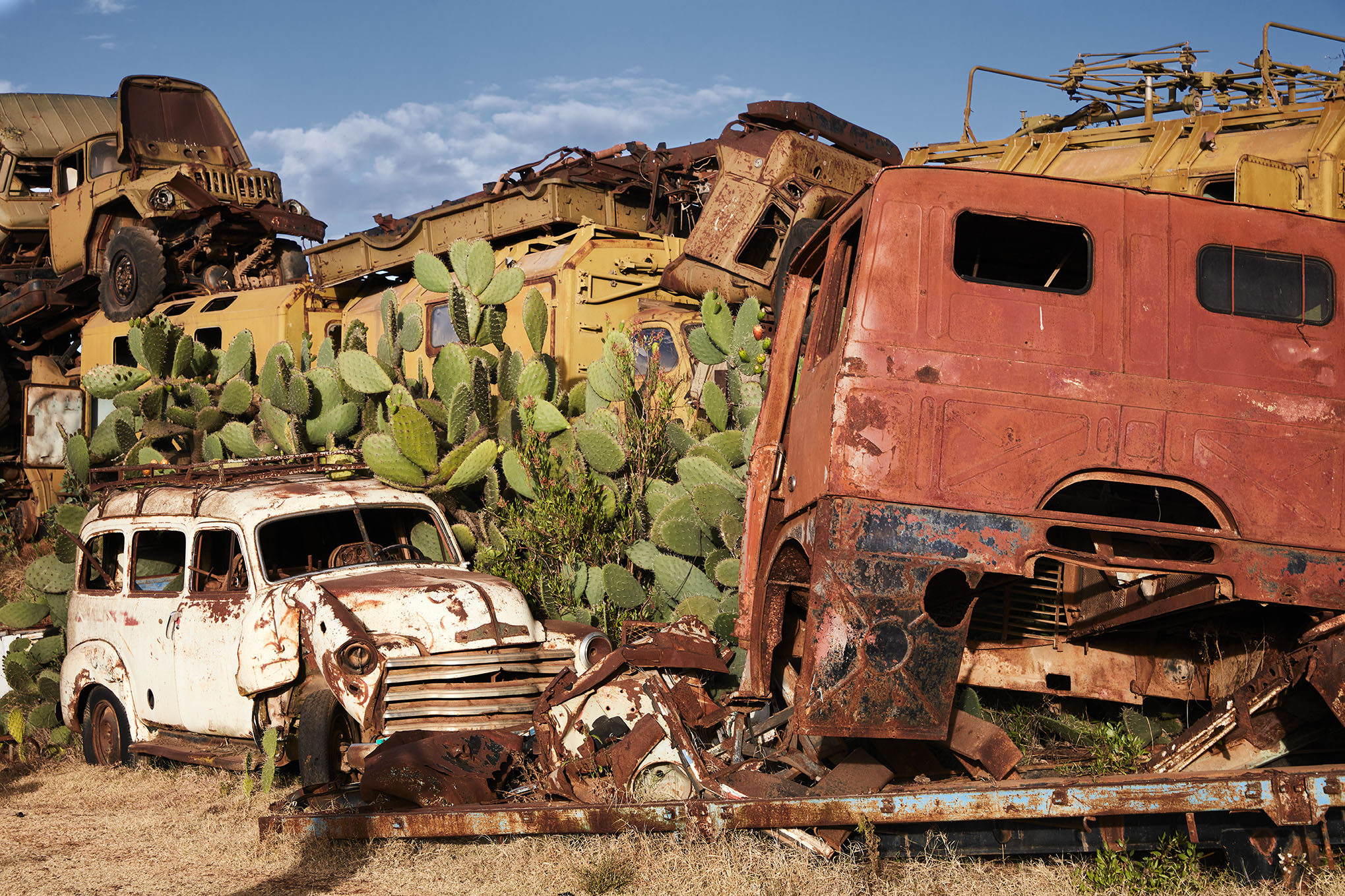 Un’area con veicoli abbandonati e accatastati, che arrugginiscono al sole tra i fichi d’India Bele in Eritrea, ph. Richard Bryant