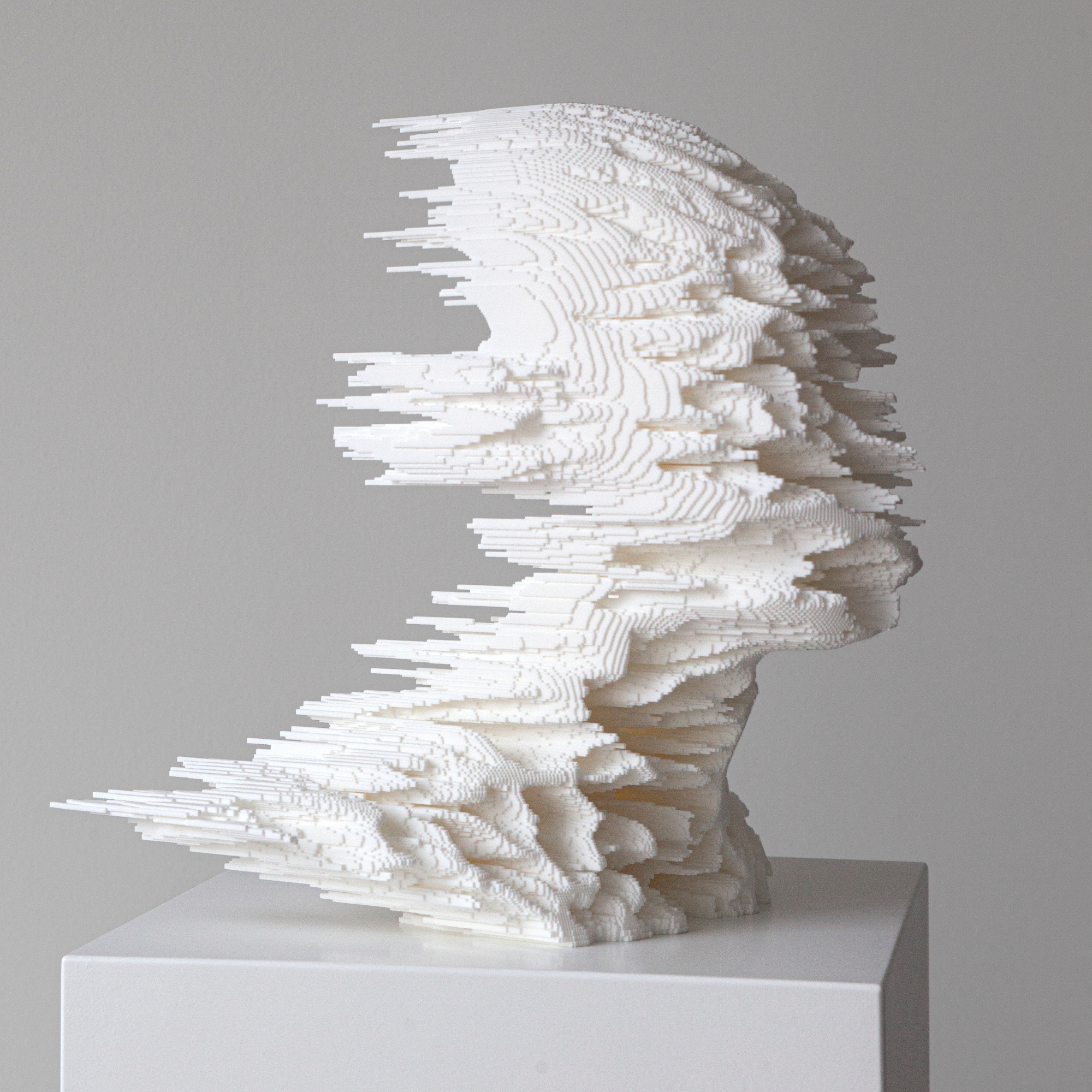 06 FilippoNassetti_ErodedHead_02
