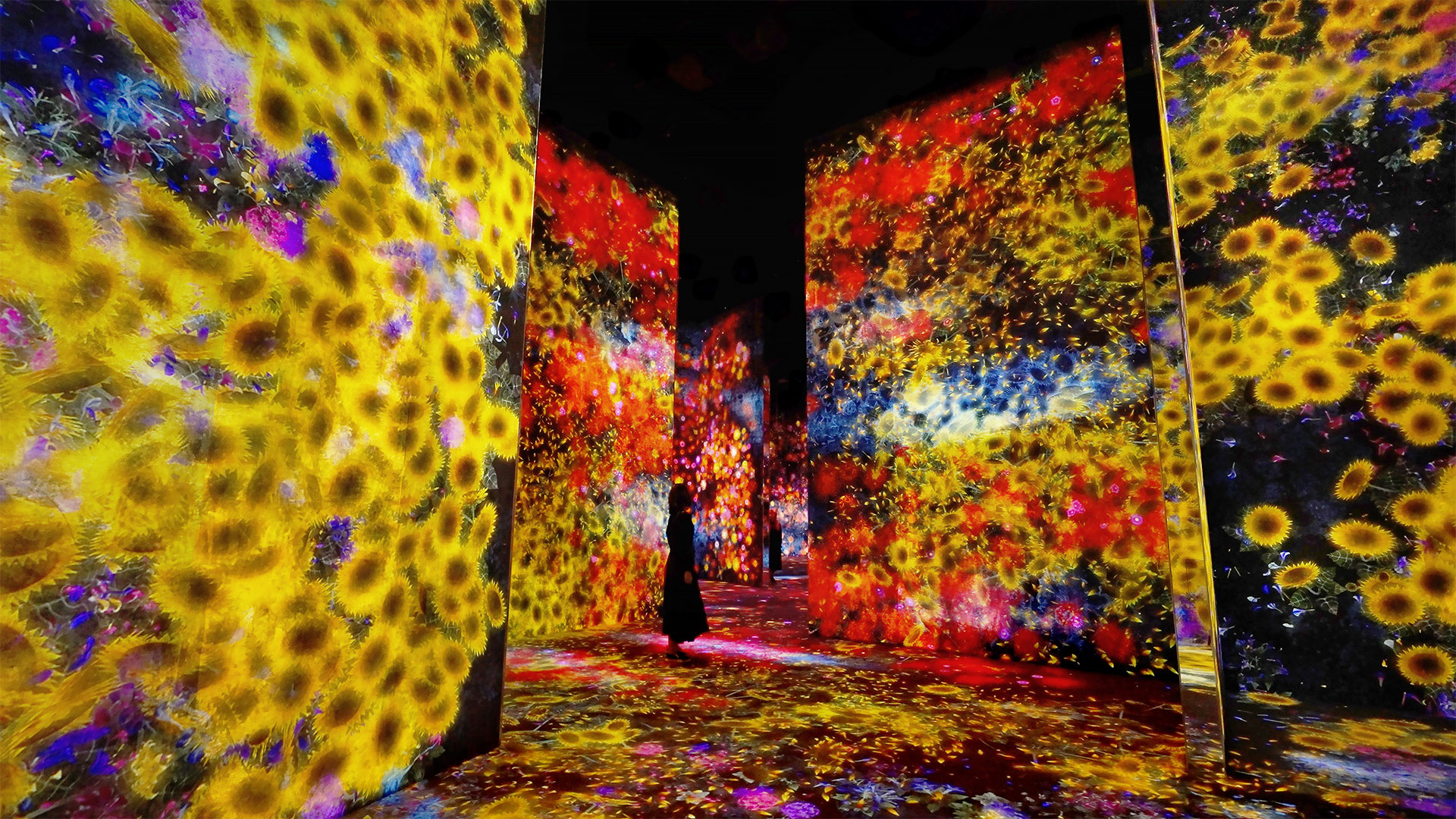 Flowers and People, opera generativa in cui i fiori nascono, si trasformano e scompaiono nel tempo; è al teamLab Borderless Tokyo, ph. teamLab