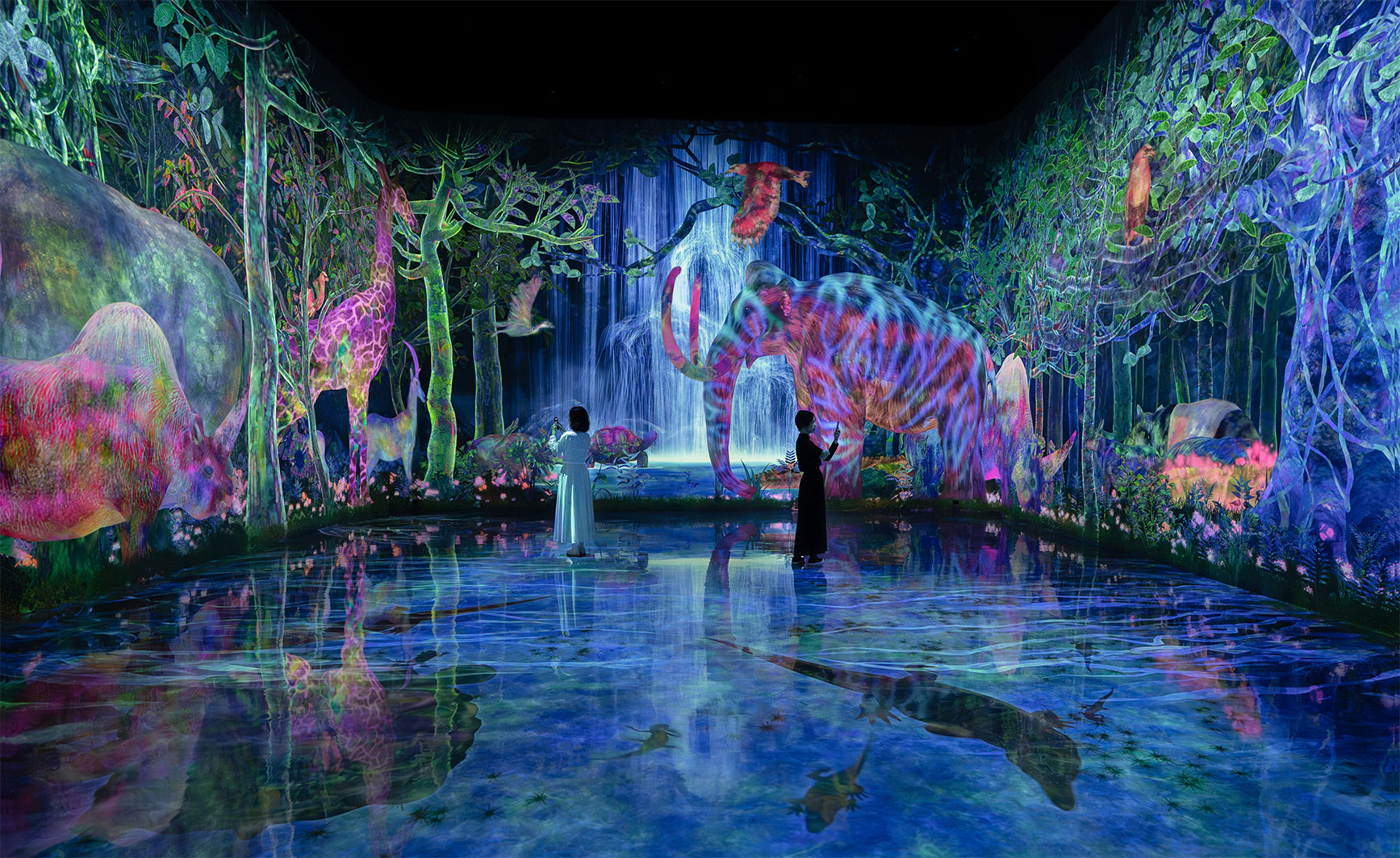 Catching and Collecting Extinct Forest, esperienza interattiva che invita i visitatori a esplorare e collezionare specie scomparse al teamLab Planets Tokyo, ph. teamLab