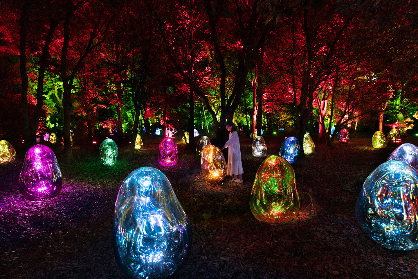 Resonating Microcosms in the Common Camellia Garden, intervento luminoso nel Giardino Botanico di Osaka, ph. teamLab